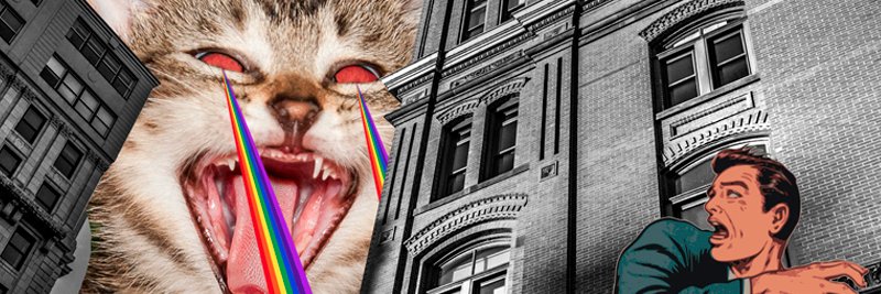 chasetherabbbit's profile banner image