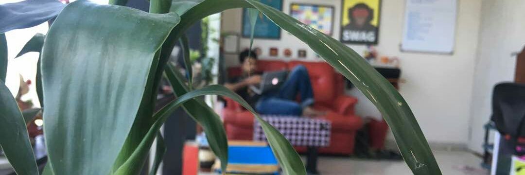 Bhooshan Harake 𝕏  banner