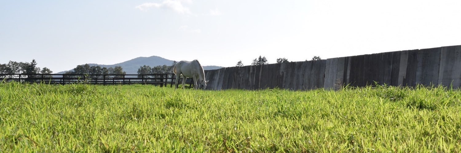 horse59470's profile banner image
