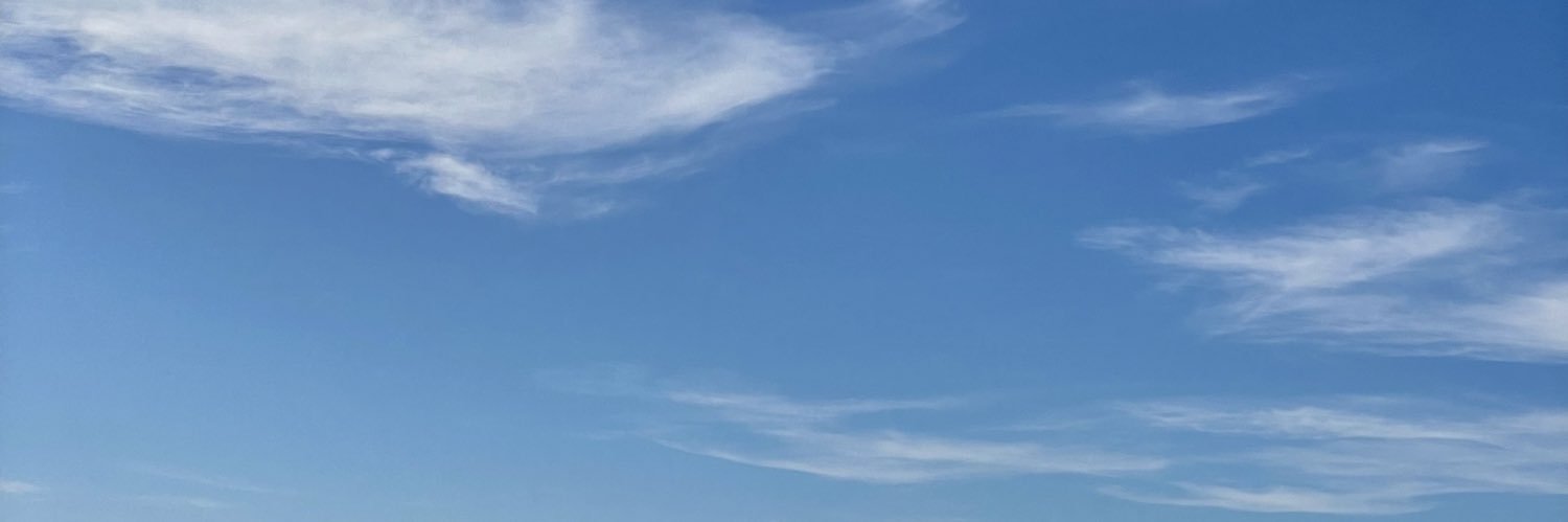 allisonfargo's profile banner image
