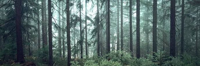 𝐇𝐔𝐆𝐎 banner
