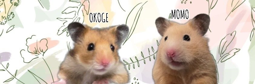 しろくま's banner
