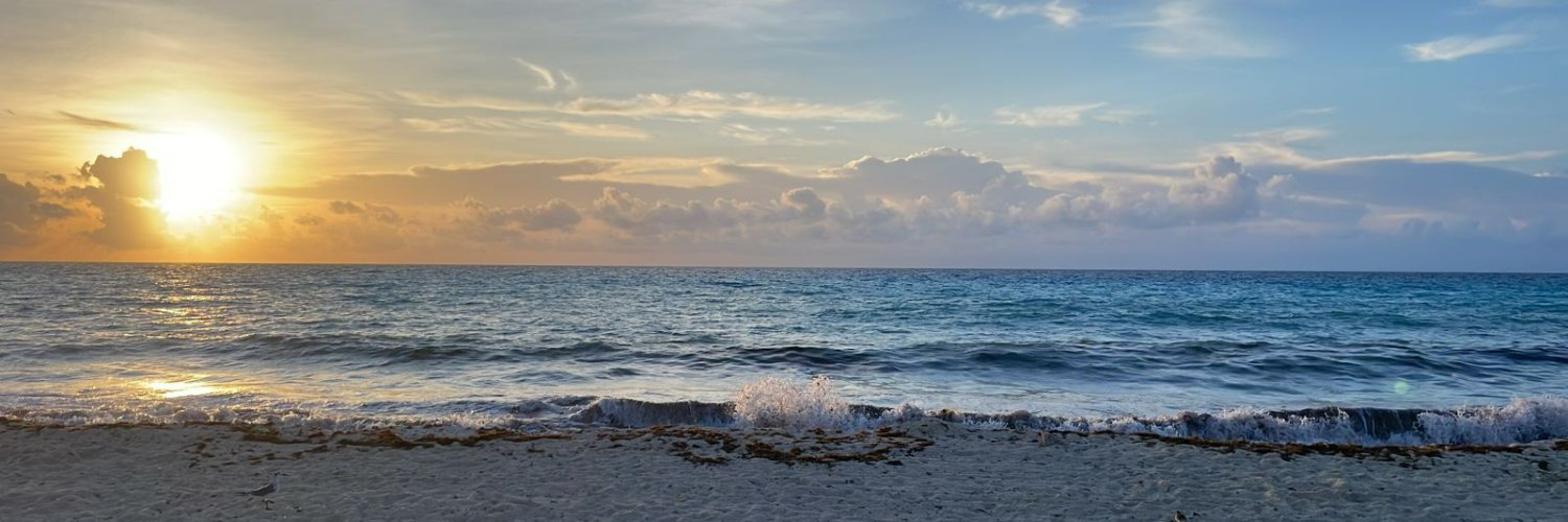 anacristam's profile banner image
