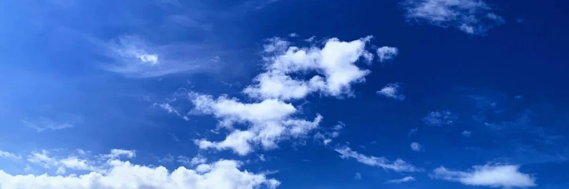 Tくんの日常 banner