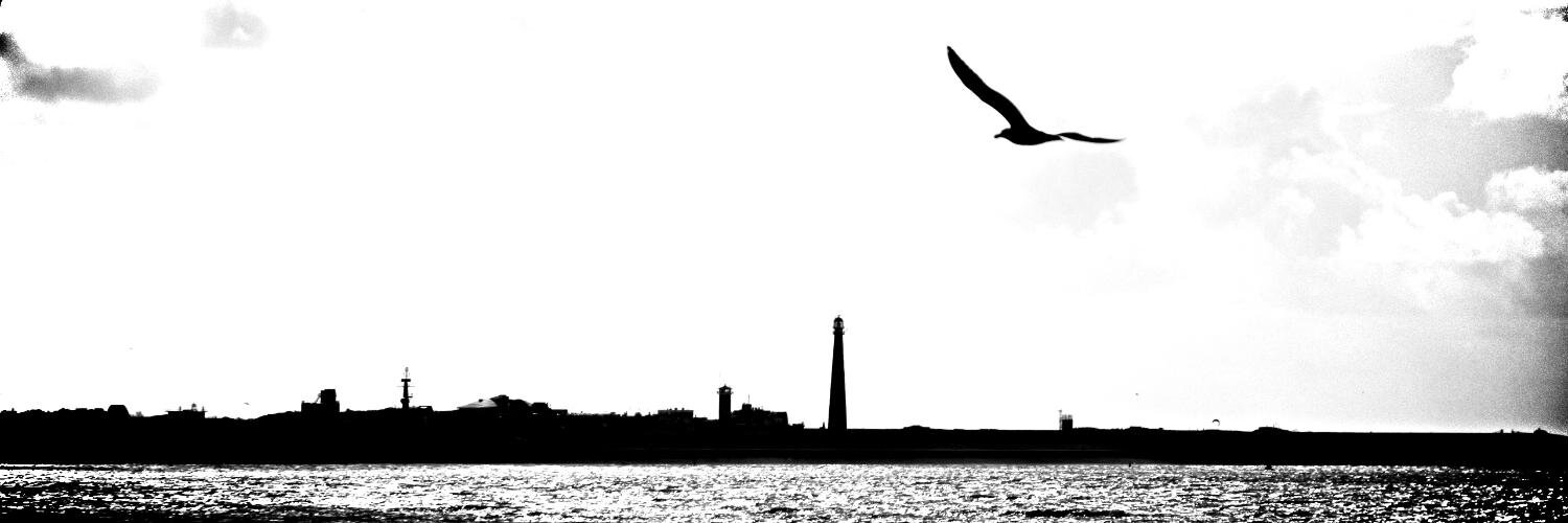 arasdetierra's profile banner image