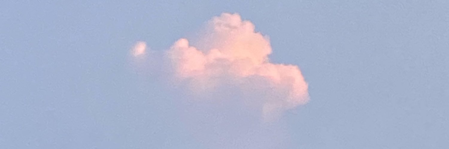 c1nchan's profile banner image