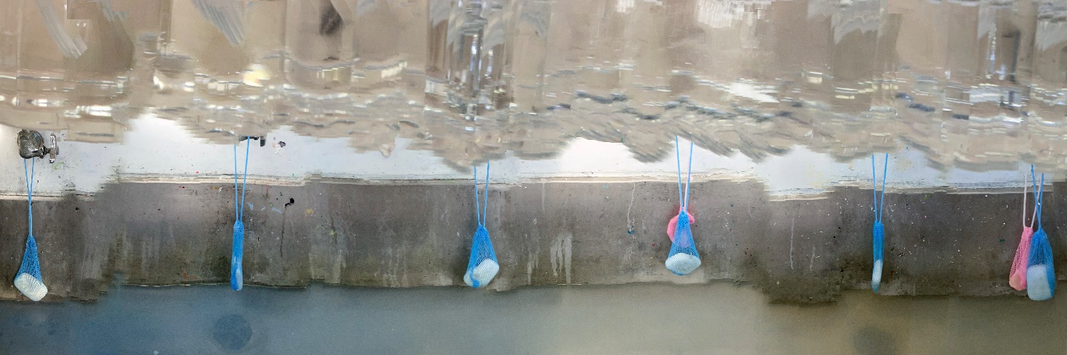 二段ジャンプ不ぎ利あ鳩に狂っぽー！☆ banner