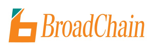 broadchain_info Profile Banner