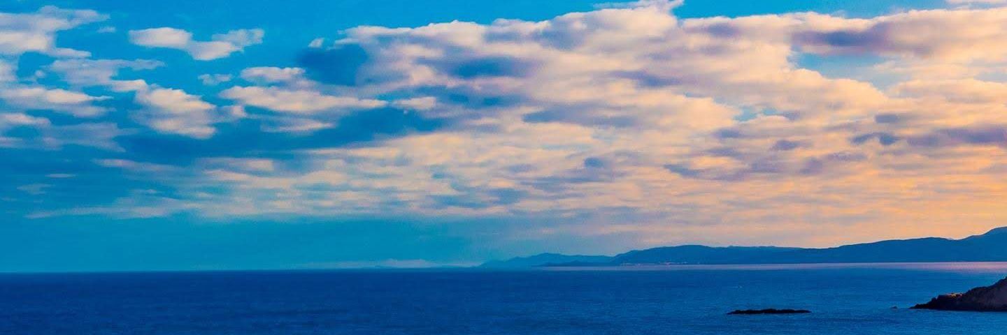 Bella1246077's profile banner image