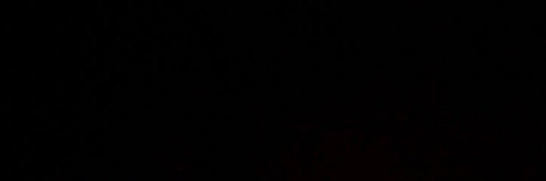 brisb_los's profile banner image