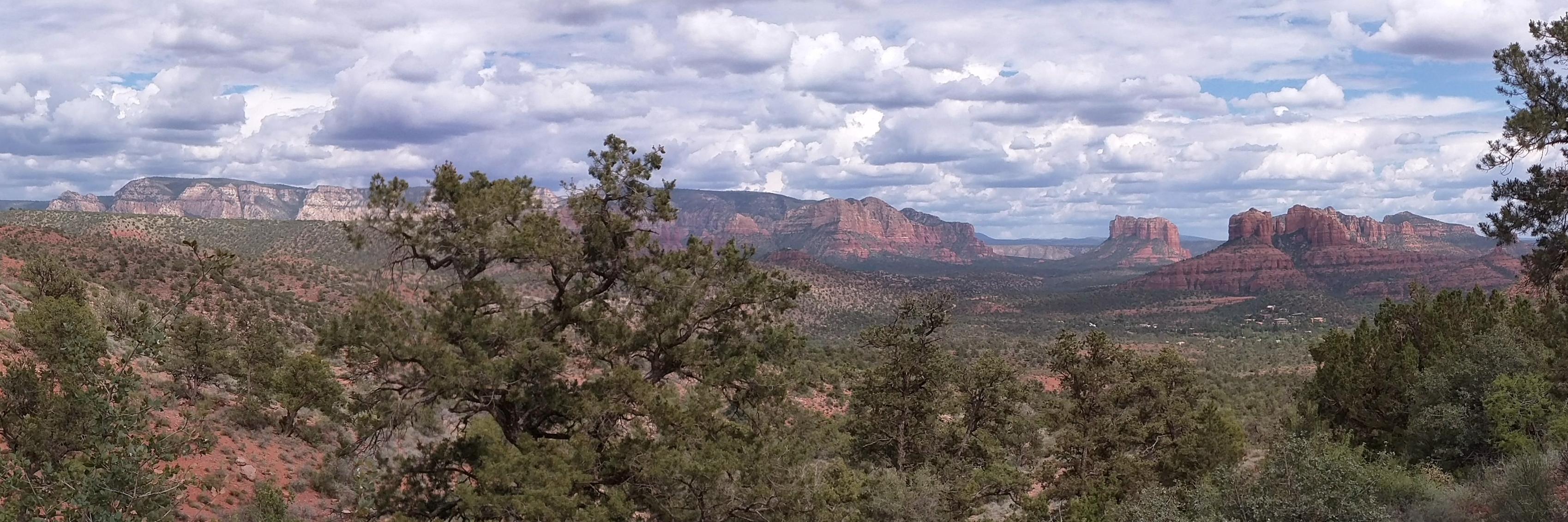 Ted Pavlic (he/him/his) banner