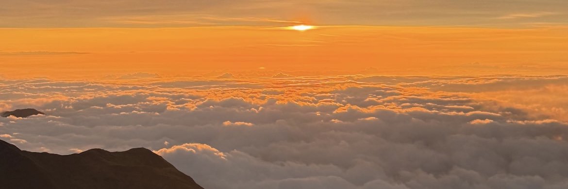 alli_c9's profile banner image