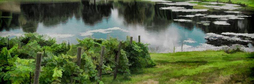 HeatherWilliams's profile banner image
