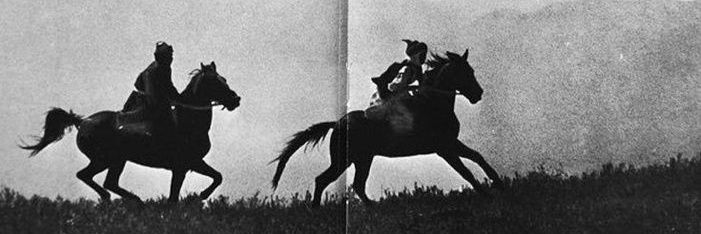 dualarveyokuslar banner