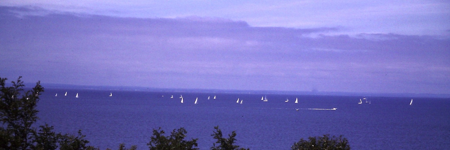 George Sarant banner