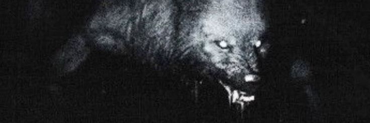 johnnycomparini's profile banner image