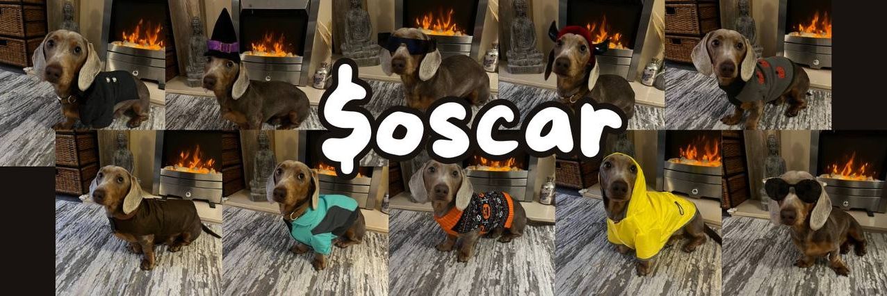 Oscar Dog banner