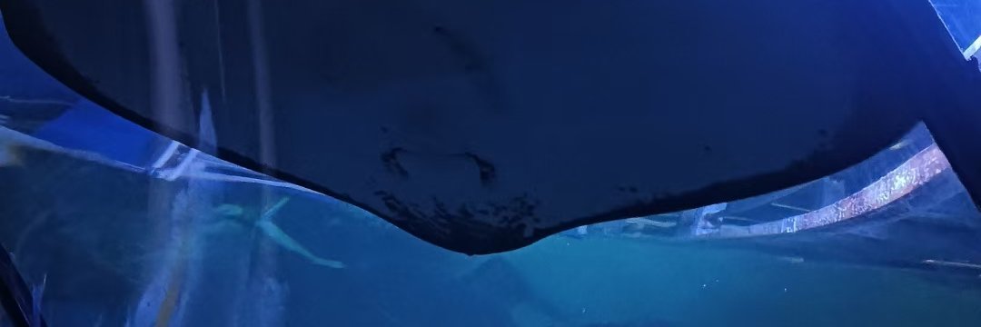 vuu1216950's profile banner image