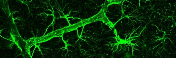 fergusofarrell Profile Banner