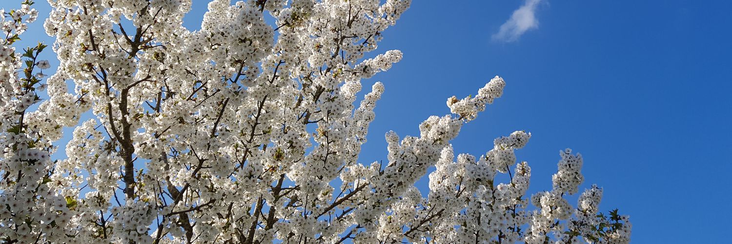 Armand_K's profile banner image