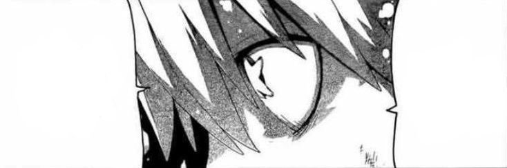 Ruru's banner