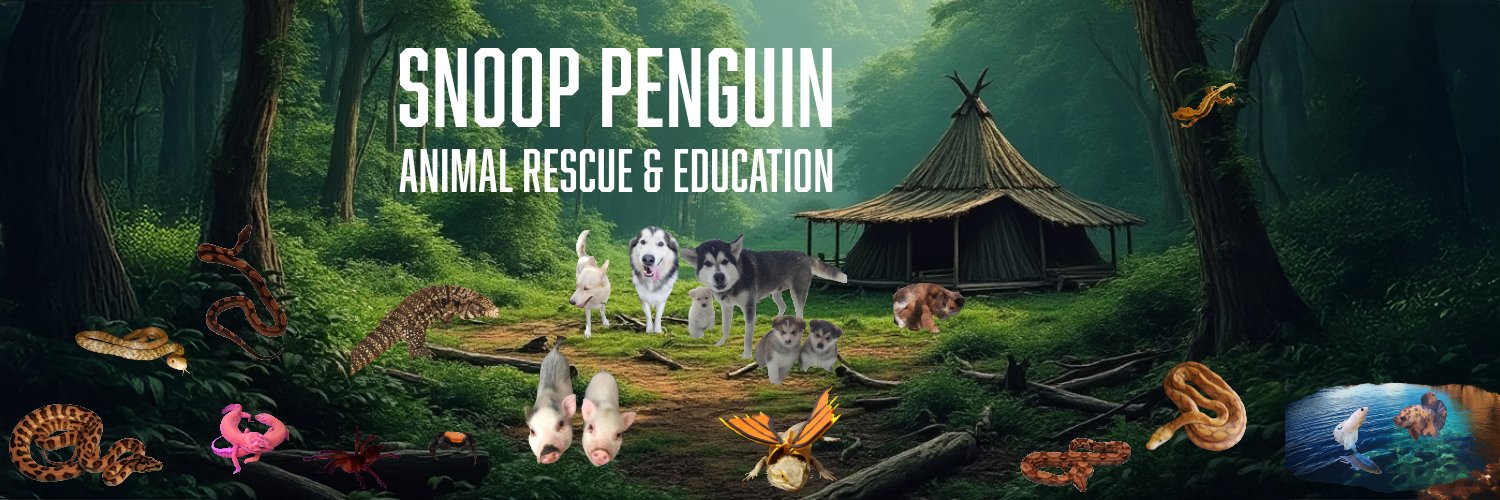 Snoop Penguin 🐧🇦🇶 P.I.'s banner