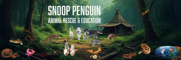 SnoopPenguin Profile Banner