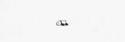 buseaydin_'s profile banner image