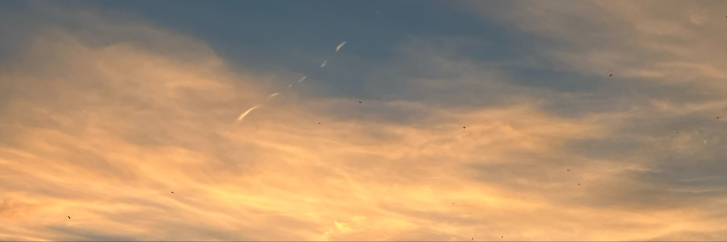 namiko0114's profile banner image