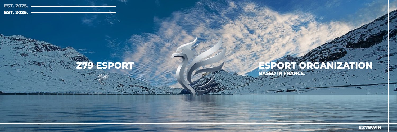 Z79 Esport banner
