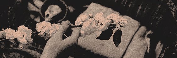ᅠ ᅠᅠᅠ ᅠᅠ ᅠᅠᅠᅠ ᅠᅠ ᅠ ᅠᅠ 𝒂𝒍𝒊𝒄𝒆. ⋆˚࿔ banner
