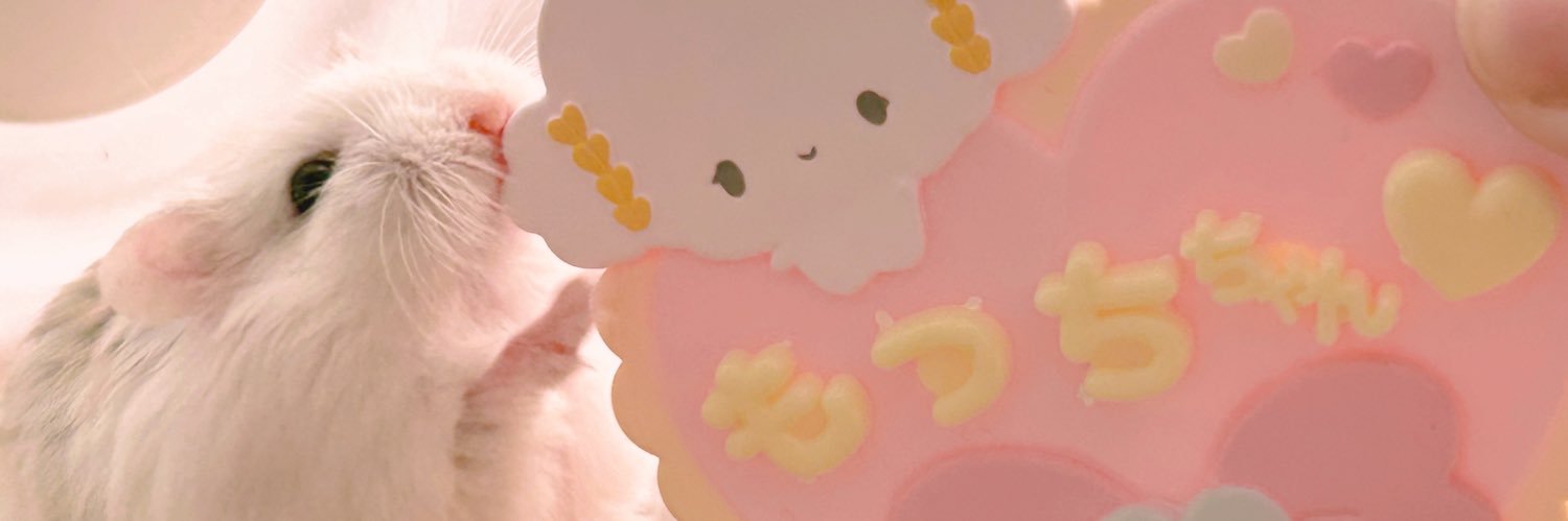 すやぴ🌼's banner
