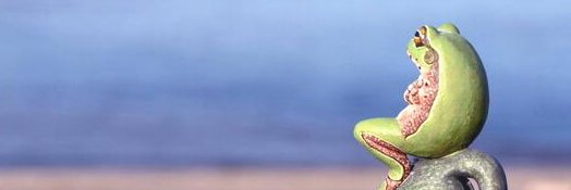 かわずくん banner