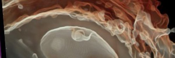 rolandrott Profile Banner