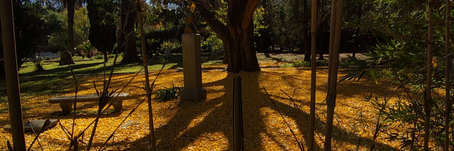 Ch4m00o's profile banner image