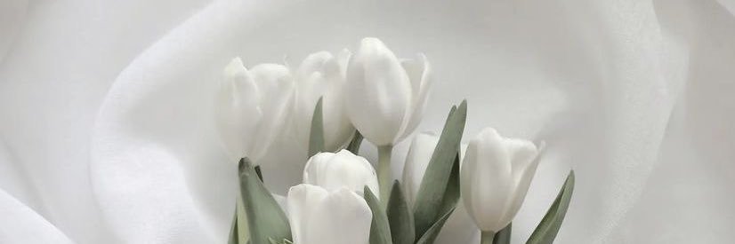 __applecnmn's profile banner image