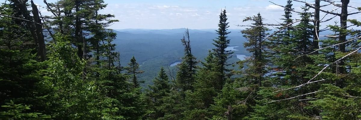 scottgunn's profile banner image
