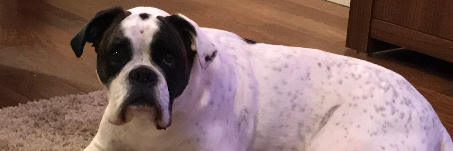cliotye's profile banner image