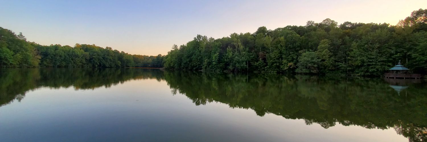 Jonathan Timber banner