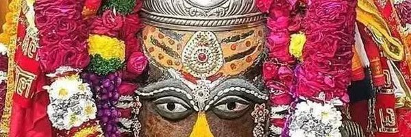 ShilpiChau26469 Profile Banner