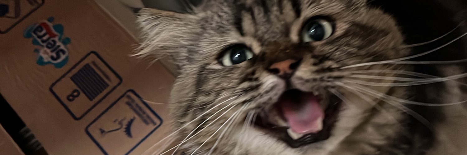 LowBattreyBrain banner