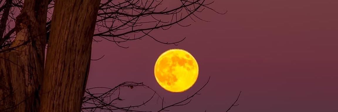 ali345908's profile banner image
