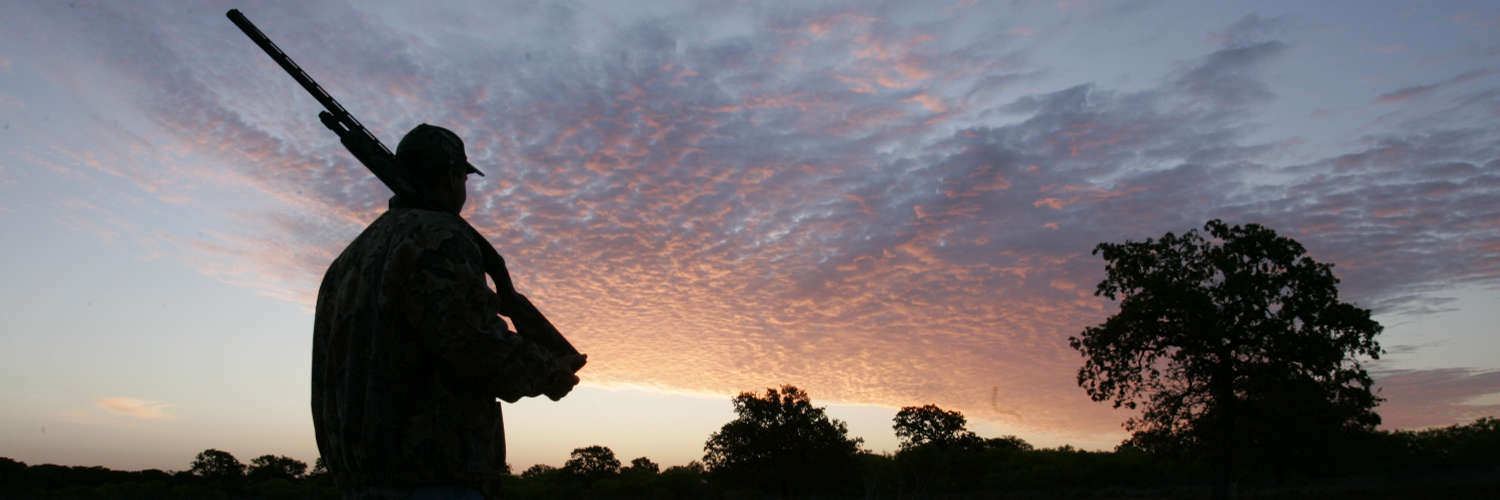 охота приведет к