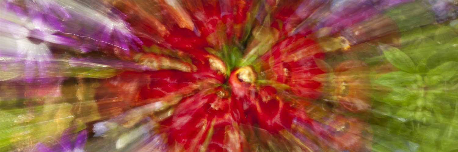 nanley's profile banner image