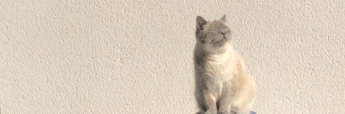leethehud's profile banner image