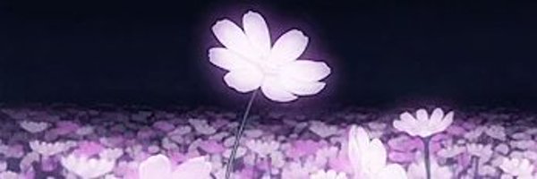 MintchipSupremo Profile Banner