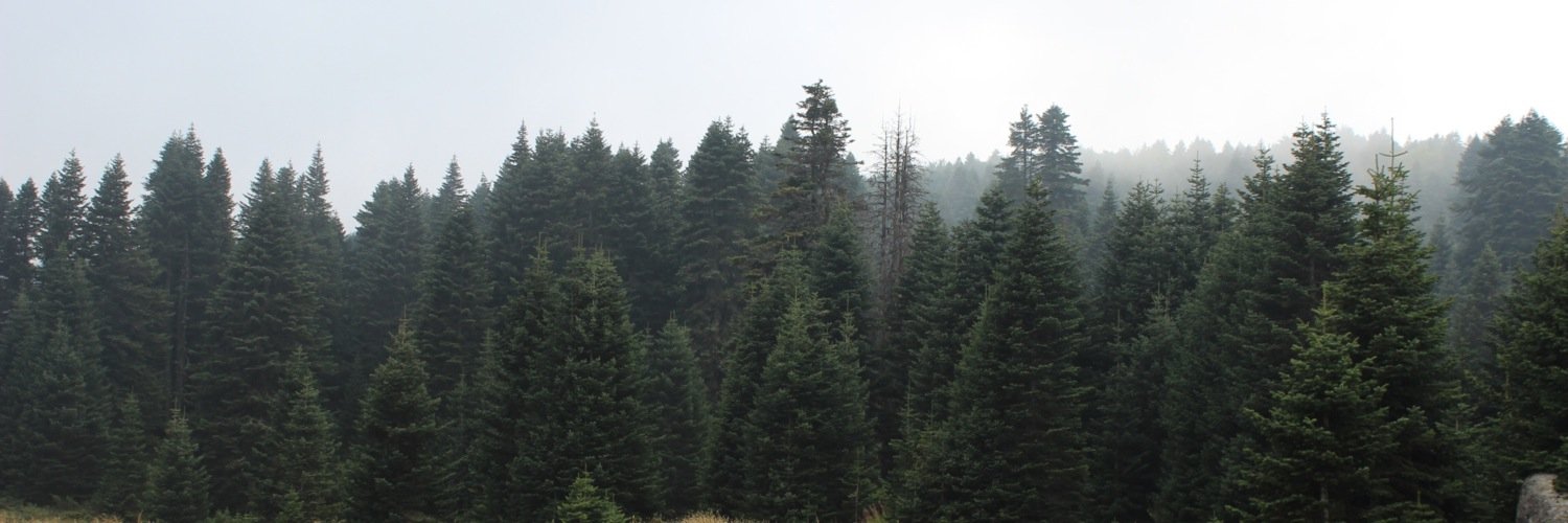 Scelci's profile banner image