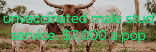 Timbrutus11 Profile Banner