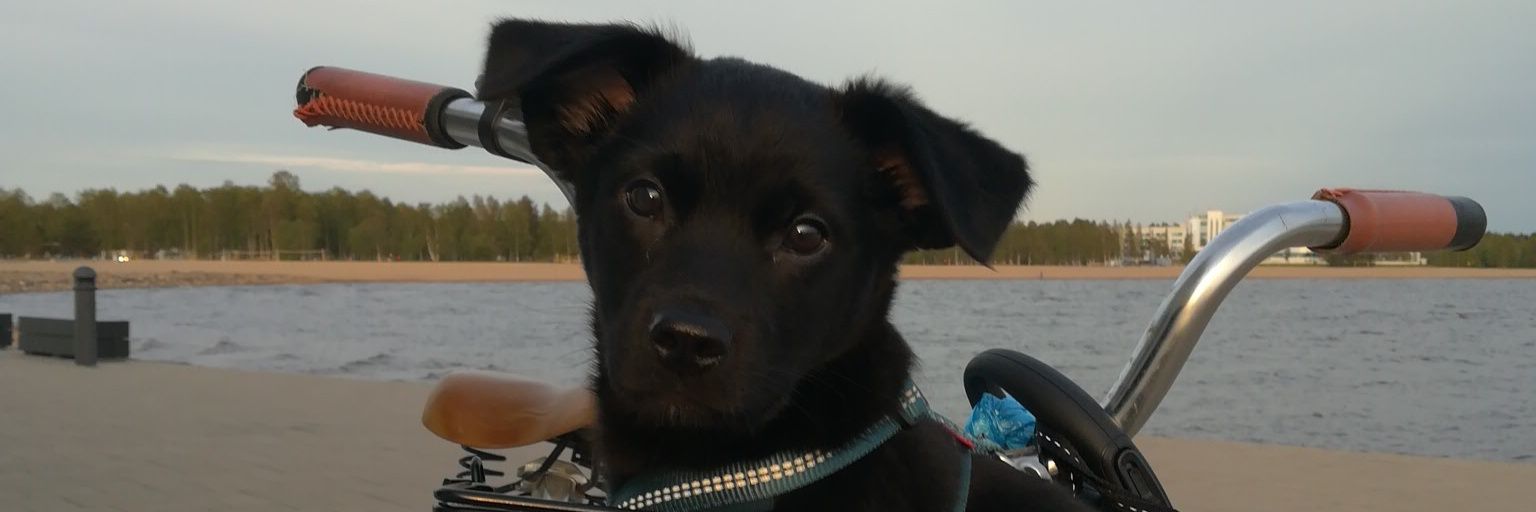 zicowasthere's profile banner image