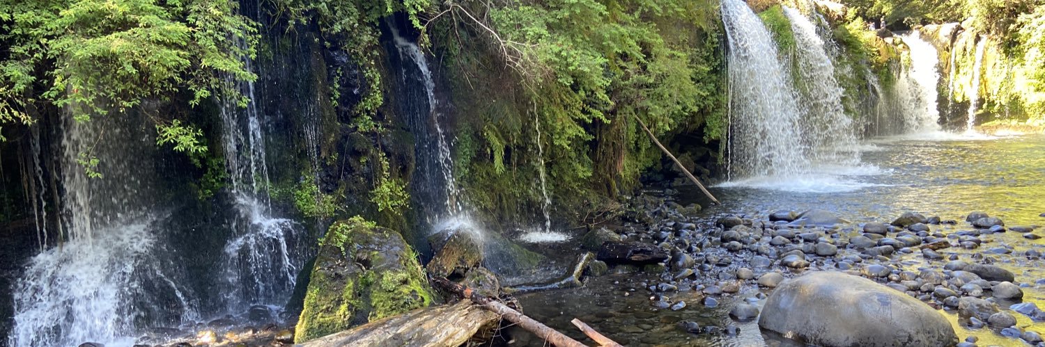 Lissette Schuster Neumann🇨🇱 banner